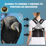 FlexBack Corrector de Postura Unisex Premium (Pedir 1 talla + de la que usas)